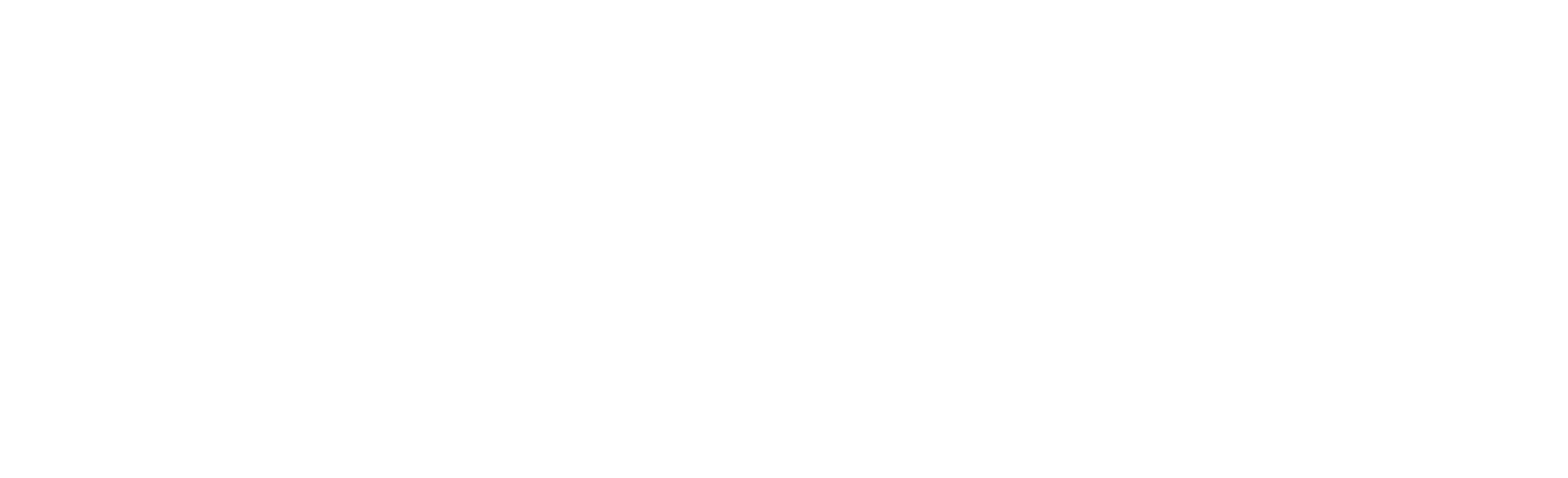 VIOMES logo